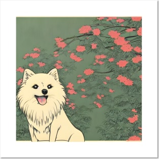 Flower Fluffy Pomsky Puppy White Pomeranian Husky Owner in Garden Posters and Art